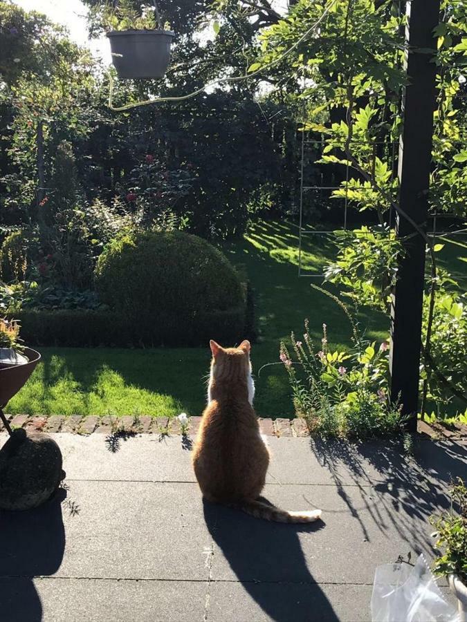 鲍喀什住宿加早餐旅馆 Meteren 外观 照片